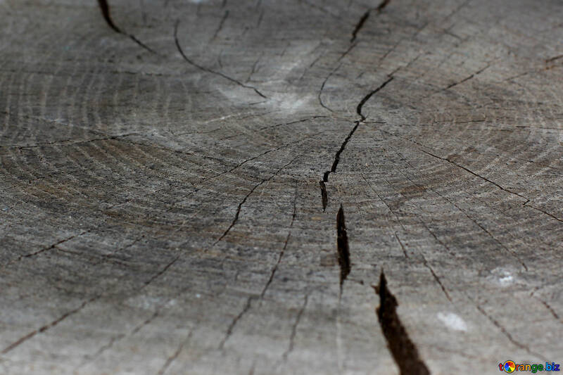 Die Textur des geschnittenen Holzes dunkel №33208