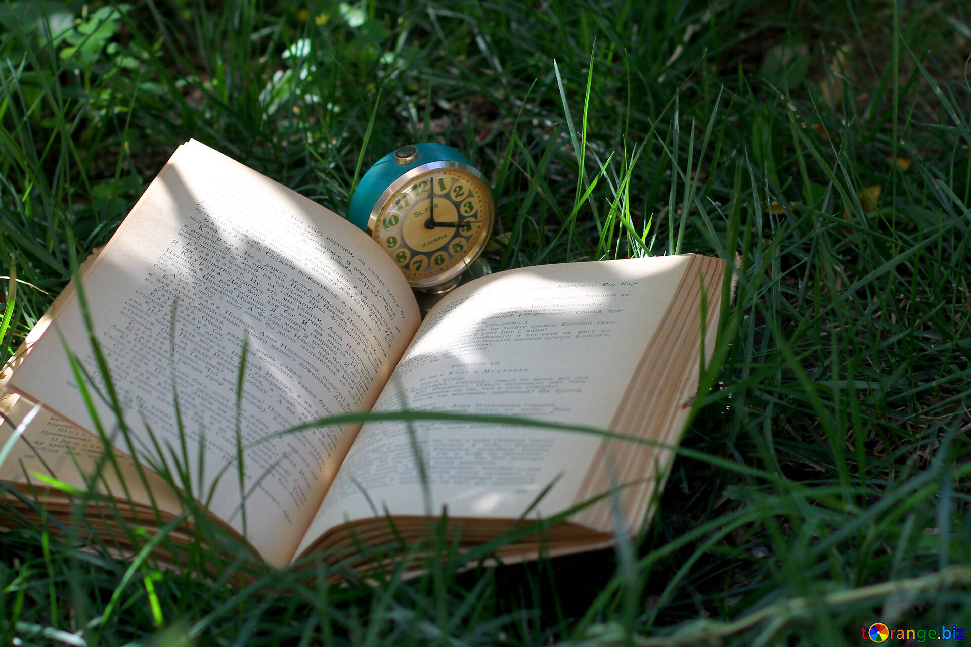 Великая книга открытая. Книга на траве. Раскрытая книга. Раскрытая книга на траве. Книги на траве красивые.