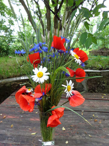 Bouquet de fleurs récoltés en été №34289
