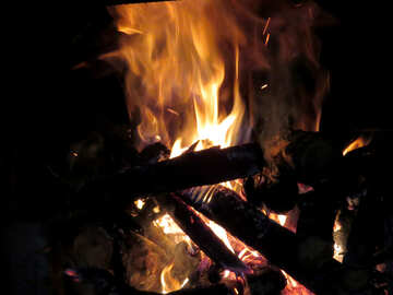Burn firewood №34334
