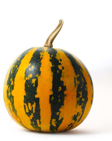 Beautiful gourd in isolation
