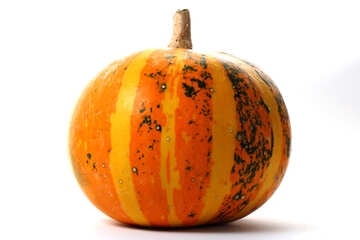Pumpkin in isolation №34986