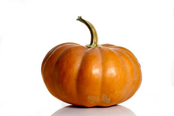 Pumpkin picture №34977