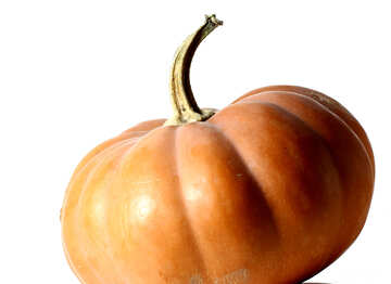 Pumpkin picture for congratulations №34978