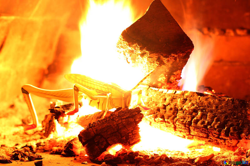 Basura se quema en el horno №34433