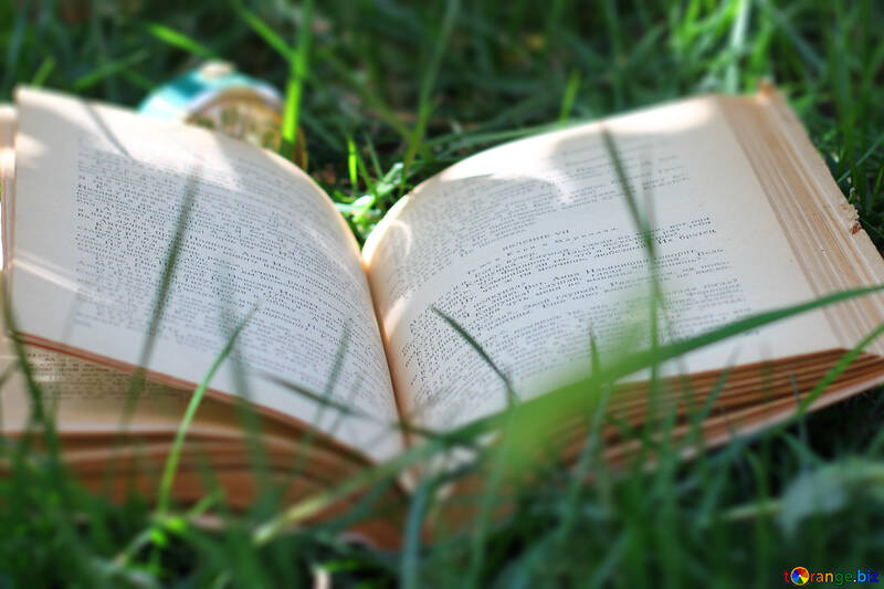 Book in the grass №34857
