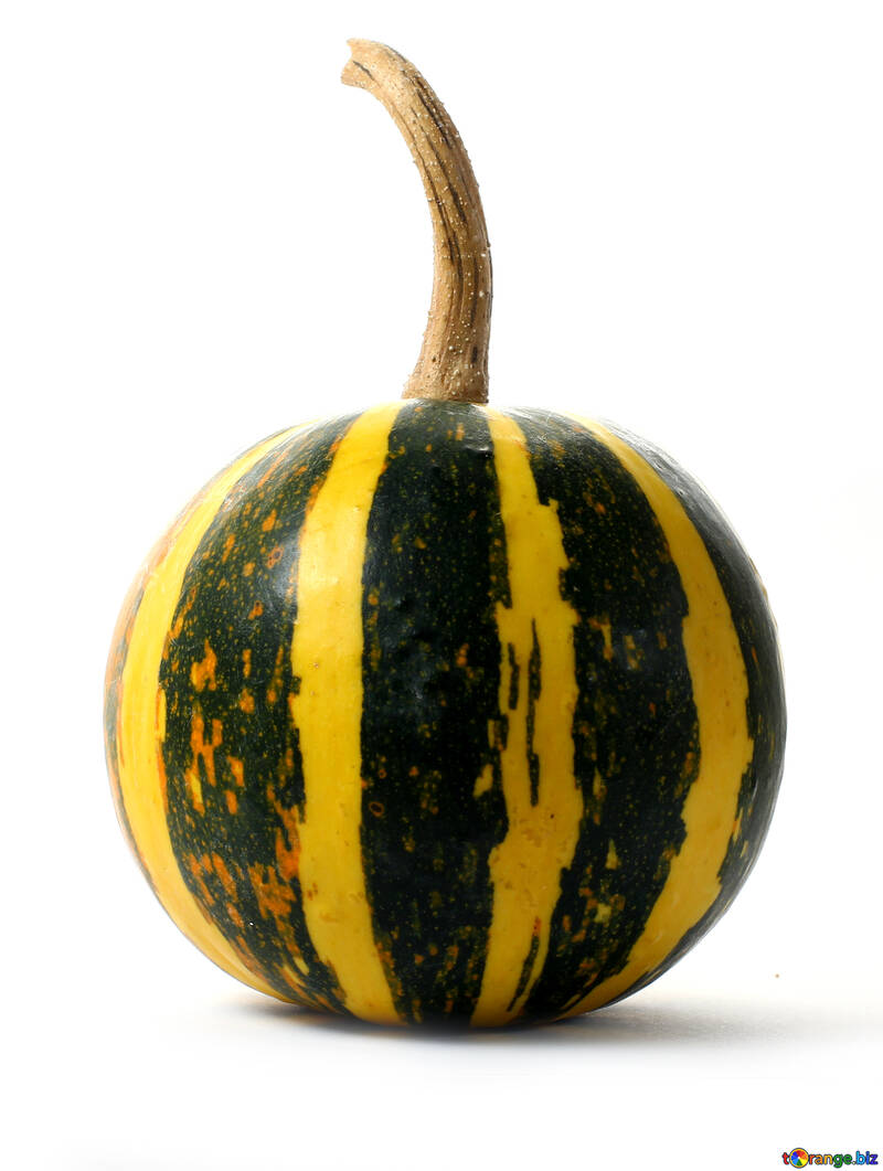 Pumpkin №34995