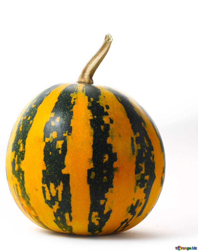 Beautiful gourd in isolation №34989