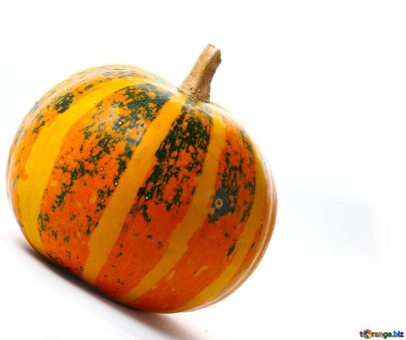Decorative pumpkin in isolation №34988
