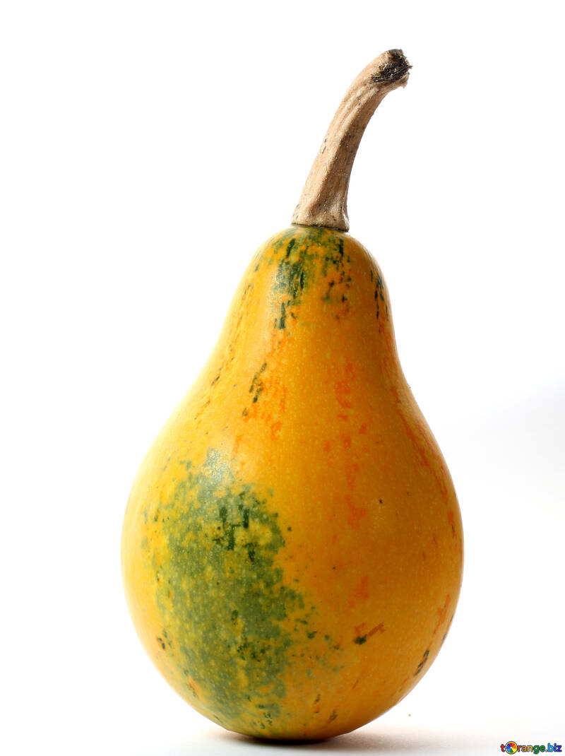 Pumpkin pear shaped stand-alone №34980