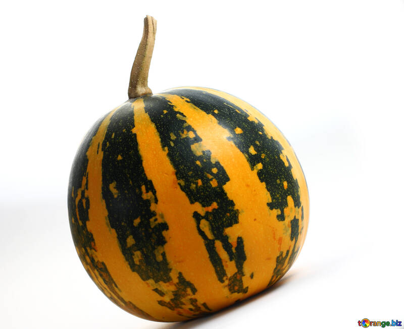 White picture with pumpkin №34990
