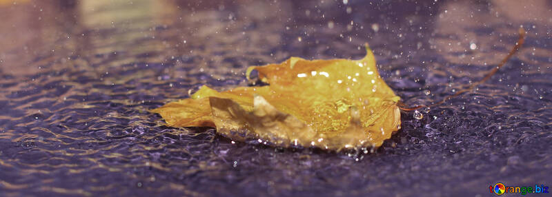 Дощ восени обкладинка на ФБ №34707