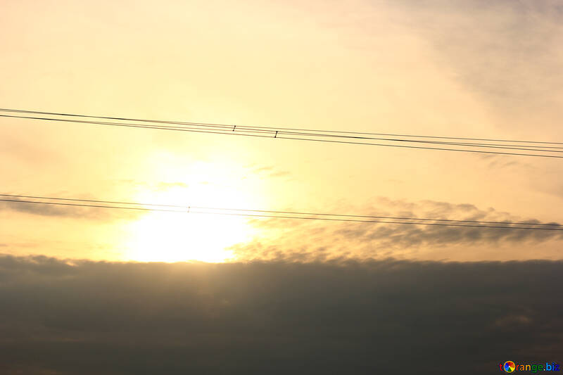 Sunset and electric wire p №34104