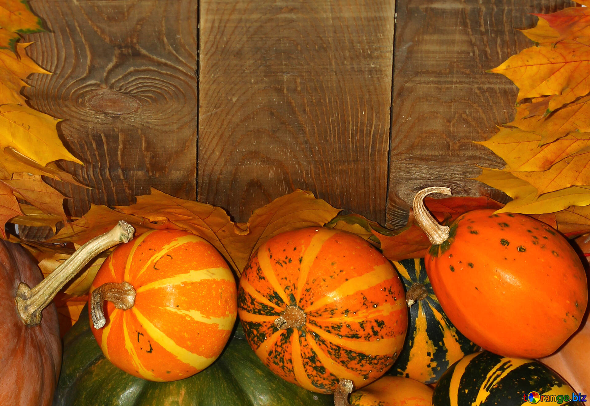 Autumn Background With Pumpkins And Leaves Image Autumn Background With Pumpkins Images Pumpkin 35234 Torange Biz Free Pics On Cc By License