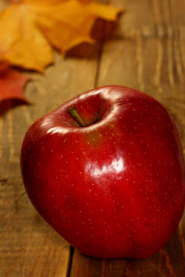 Red apple №35198
