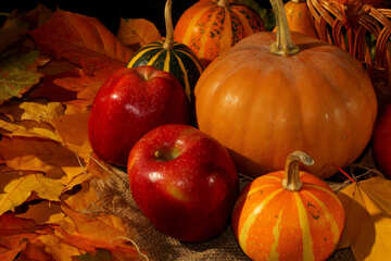 Apples and pumpkins on leaves №35322