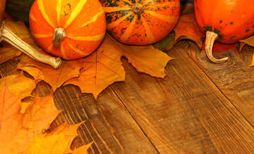 Осенний фон с тыквами на столе №35224