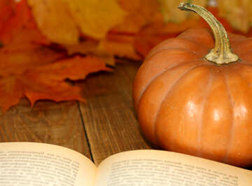 Book and pumpkin №35177