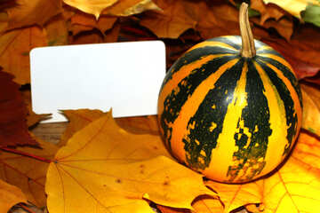 Background invitation for halloween with pumpkin №35188