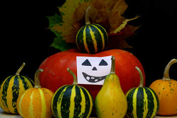 Pumpkin for Halloween №35136
