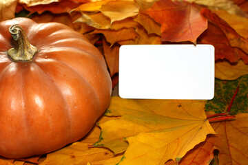Invitation card with pumpkin №35182