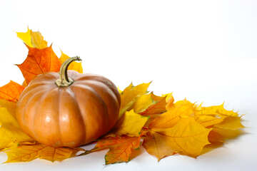 Pumpkin with autumn leaves for card №35466