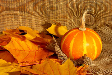 Hermoso cuadro con calabaza y hojas de otoño №35453