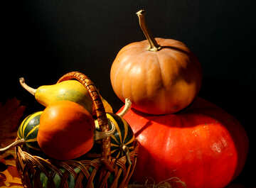Frutas de otoño №35344