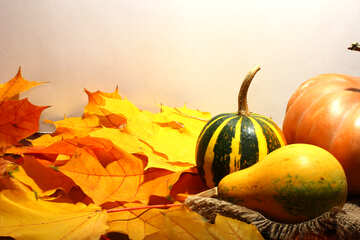 Calabaza en las hojas amarillas de otoño №35413