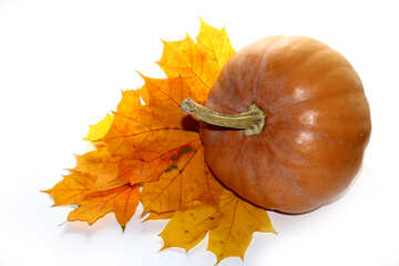Autumn pumpkin №35240