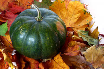 Green pumpkin №35120