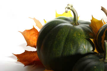 Green pumpkin isolated №35471