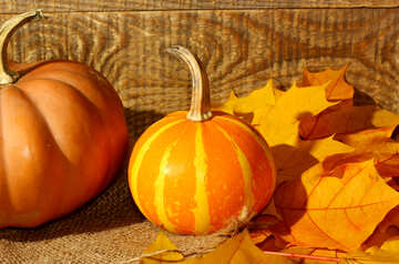 Pumpkins and autumn leaves