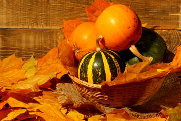 Pumpkin №35356