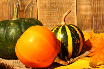 Pumpkin №35364