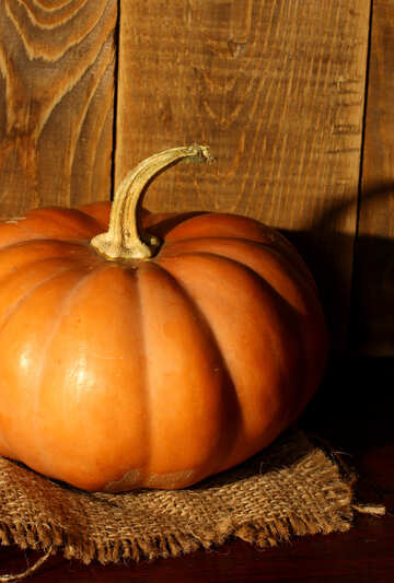 Pumpkin №35382