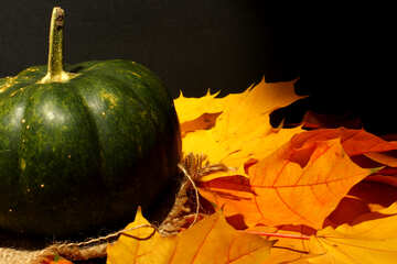 Pumpkin №35439