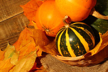 Pumpkin №35357