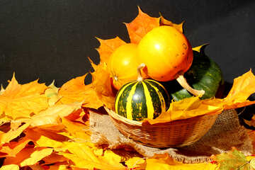 Pumpkin №35358