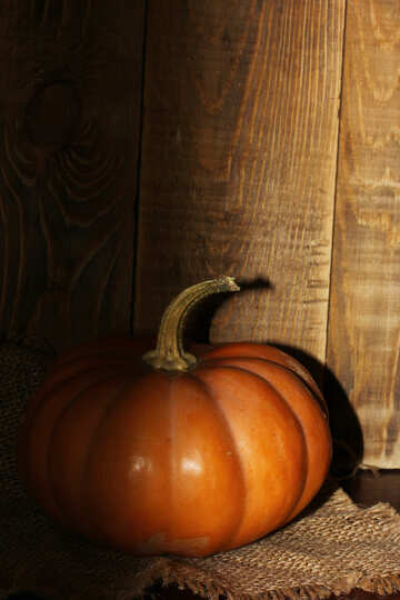 Pumpkin №35385