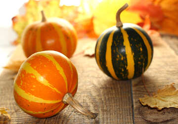 Three pumpkins №35259
