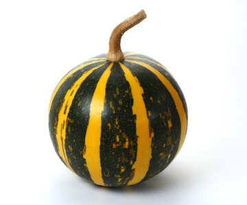 Decorative pumpkin without background №35017