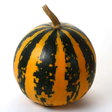 Pumpkin without background №35025
