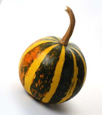 Yellow black pumpkin without background №35013