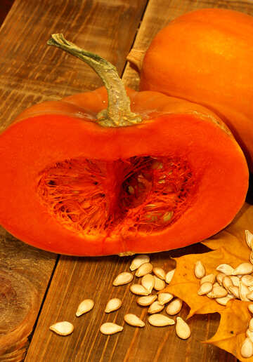 Pumpkin Seeds №35528