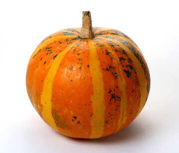 Pumpkin №35022