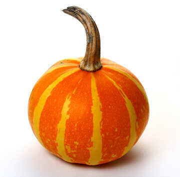 Beautiful pumpkin №35036