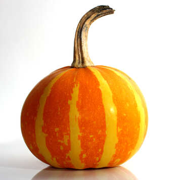 Beautiful pumpkin №35040