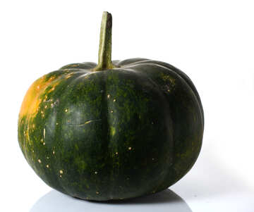 Dark green pumpkin isolated