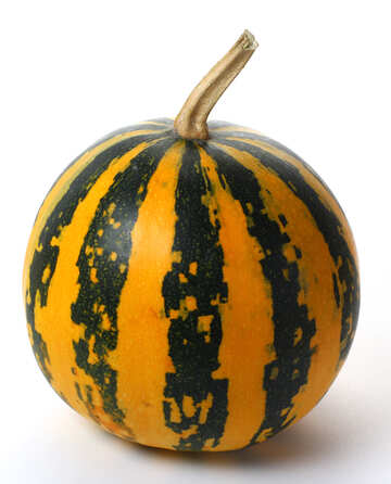 Decorative pumpkin №35027